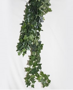 Sarmaşık Modelleri (6)